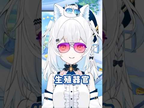 Image YouTube