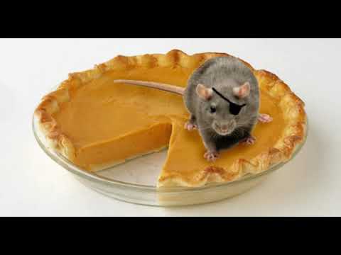 Image YouTube