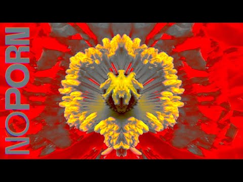 Image YouTube