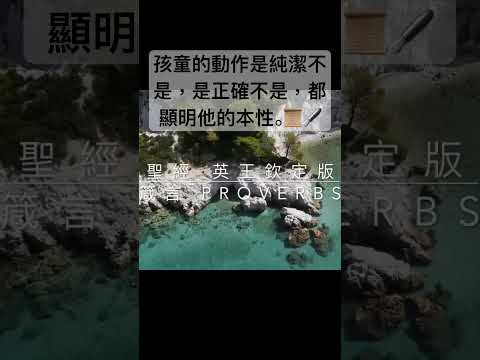 Image YouTube