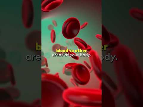 Image YouTube