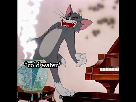 Image YouTube