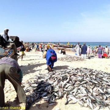 Profil DailyMotion de l’utilisateur Kayar News