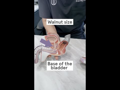 Image YouTube