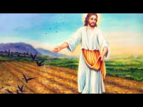 Image YouTube