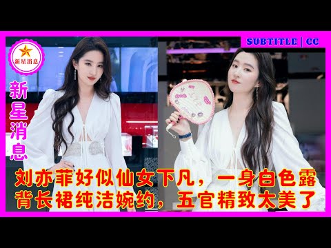 Image YouTube