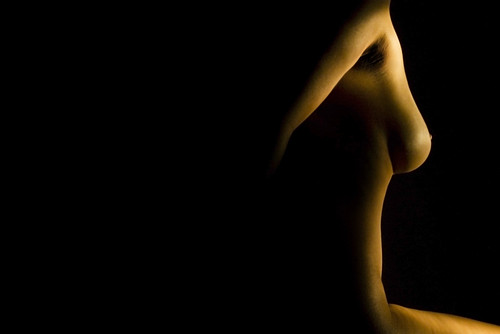 Flickr Au XVe siècle, la Renaissance choisit la peinture et la sculpture comme formes d’expression artistique les plus pures et privilégiées. A cette époque, les grands noms proposent au monde des formes plus réalistes, utilisant des techniques telles que le « sfumato » et le « clair-obscur », jeux d'ombres et de lumières créant perspective, profondeur et enchantement. Nous nous approprions ces techniques, les introduisant dans l'époque contemporaine en utilisant à la place de la faible lumière des bougies, l'obscurité totale, à la place des écrans, de l'appareil photo et de son capteur en pose longue, faisant de la lumière contrôlée par nos mains nos pinceaux et nos peintures. À travers les âges, la forme humaine nue représente la pureté, la fertilité et la sensualité. La combinaison du profane et du sacré, dans la juste mesure, nous conduit aujourd'hui au point de vue équilibré de la beauté elle-même, transcendante, exotique, qui, soulignée entre le voile noir des ténèbres par une source de lumière, révèle les formes pérennes de l'être humain. Contours illuminés du bel idéal, parties ombragées qui adoucissent la transgression intrinsèque de la représentation. L'art contemporain ne nous entraîne plus au bûcher curieux des profanes, ni à la chasteté extrême qui incite aux pervers et détourne même notre regard du lieu commun vulgaire de la pauvre vision érotique sensible. Inquiétantes, inspirantes et belles, tantôt peuplées de symboles poétiques, élégantes et harmonieuses dans leur forme de base légère, tantôt envoûtantes et métaphoriquement percutantes incitant à nos désirs curieux, ces formes, avec leur plaisir ludique à transgresser, ont enchanté les artistes, les rois, les mécènes et les souverains au fil des siècles. Se situer entre le profane et le sacré, déconstruire des ensembles, sans retenir explicitement l'évidence ni créer des abstractions, uniquement par la force de la représentation des formes, de leurs accessoires et de leur composition, entourés du même voile noir d'obscurité qui entoure l'instant incitateur avant chaque clic, est le défi.