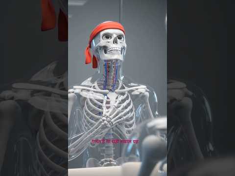Image YouTube